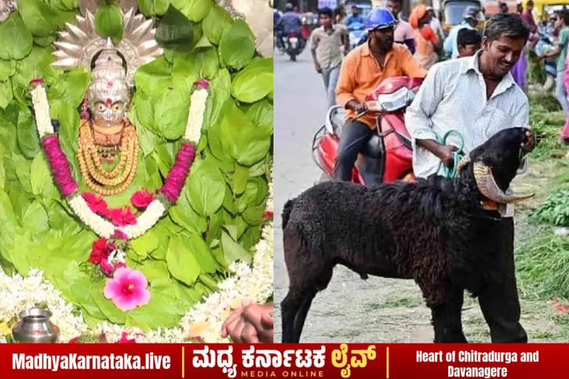 ದಾವಣಗೆರೆ: ದುಗ್ಗಮ್ಮನ ಜಾತ್ರೆಗೆ ದಿನಗಣನೆ ಆರಂಭ; ಬಾಡೂಟ ಪ್ರಿಯರಿಗೆ ಶಾಕ್ ನೀಡಿದ ಕುರಿ ಬೆಲೆ!