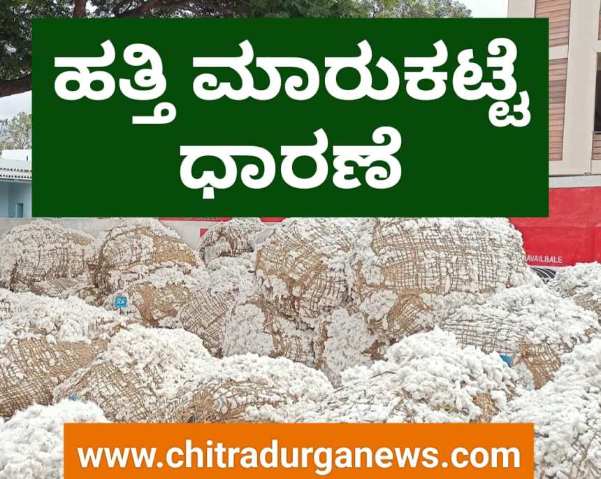 ಮಾರುಕಟ್ಟೆ ಧಾರಣೆ | ಜನವರಿ 17 | ಹತ್ತಿ ರೇಟ್ ಎಷ್ಟಿದೆ?